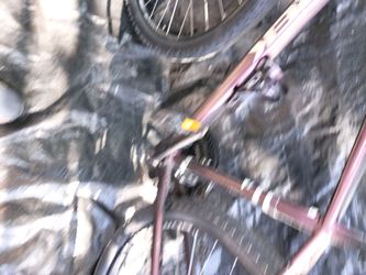 Trek verve 1