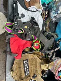 Tactical & Everyday Dog Harness/Vest Bundle – Service Dog Vest, Ruffwear & More