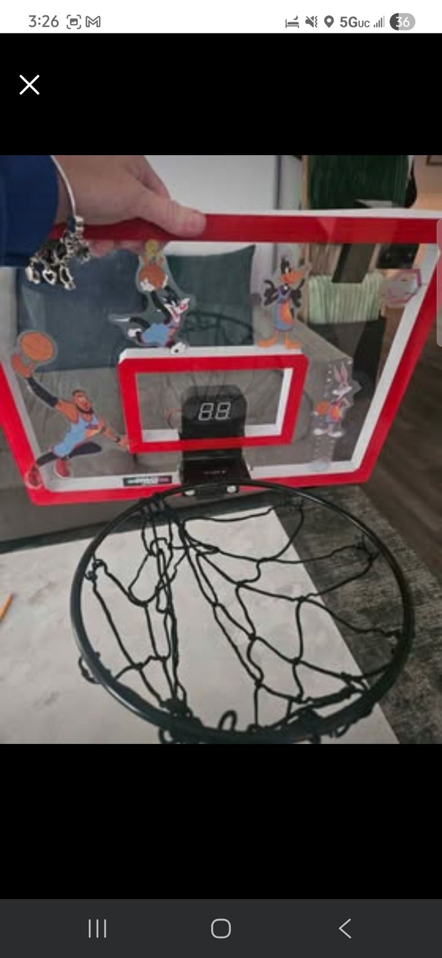 Space Jam mini basketball hoop set over the door