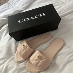 Pink Coach Slides