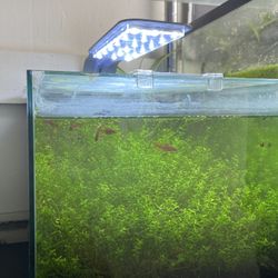 Self Sustainable Tank (everything Included)
