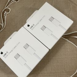 USB-C Apple Charger