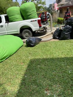 Attic Cleaning