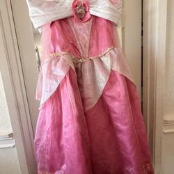 Sleeping Beauty Costume 