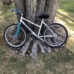 26” Mountain Bike