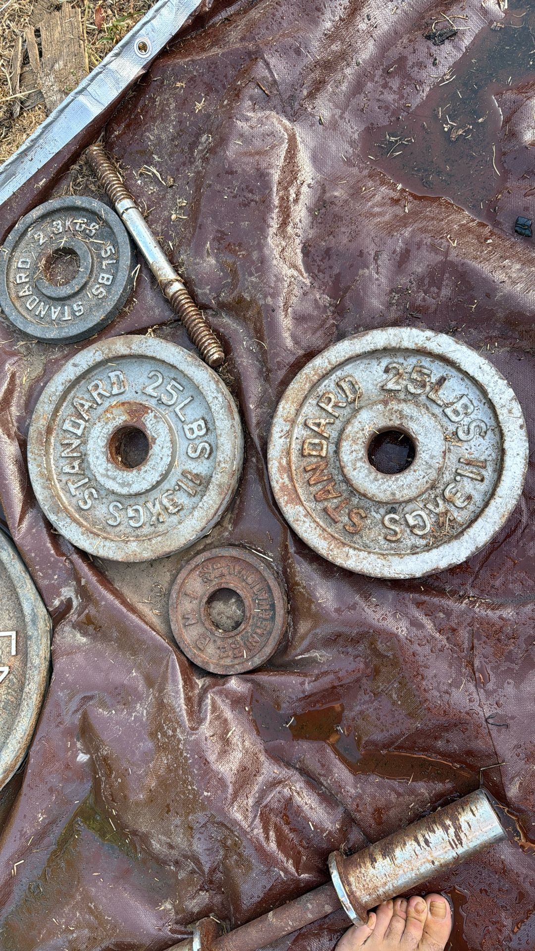 1 Set Of 25 Lbs Weight Plates (2 Plates)