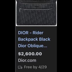 dior backpack 