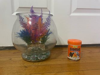 Goldfish or beta fishbowl w/ food