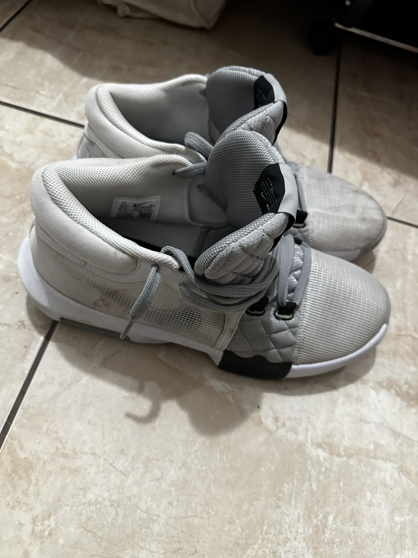 Lebron Witness VIII