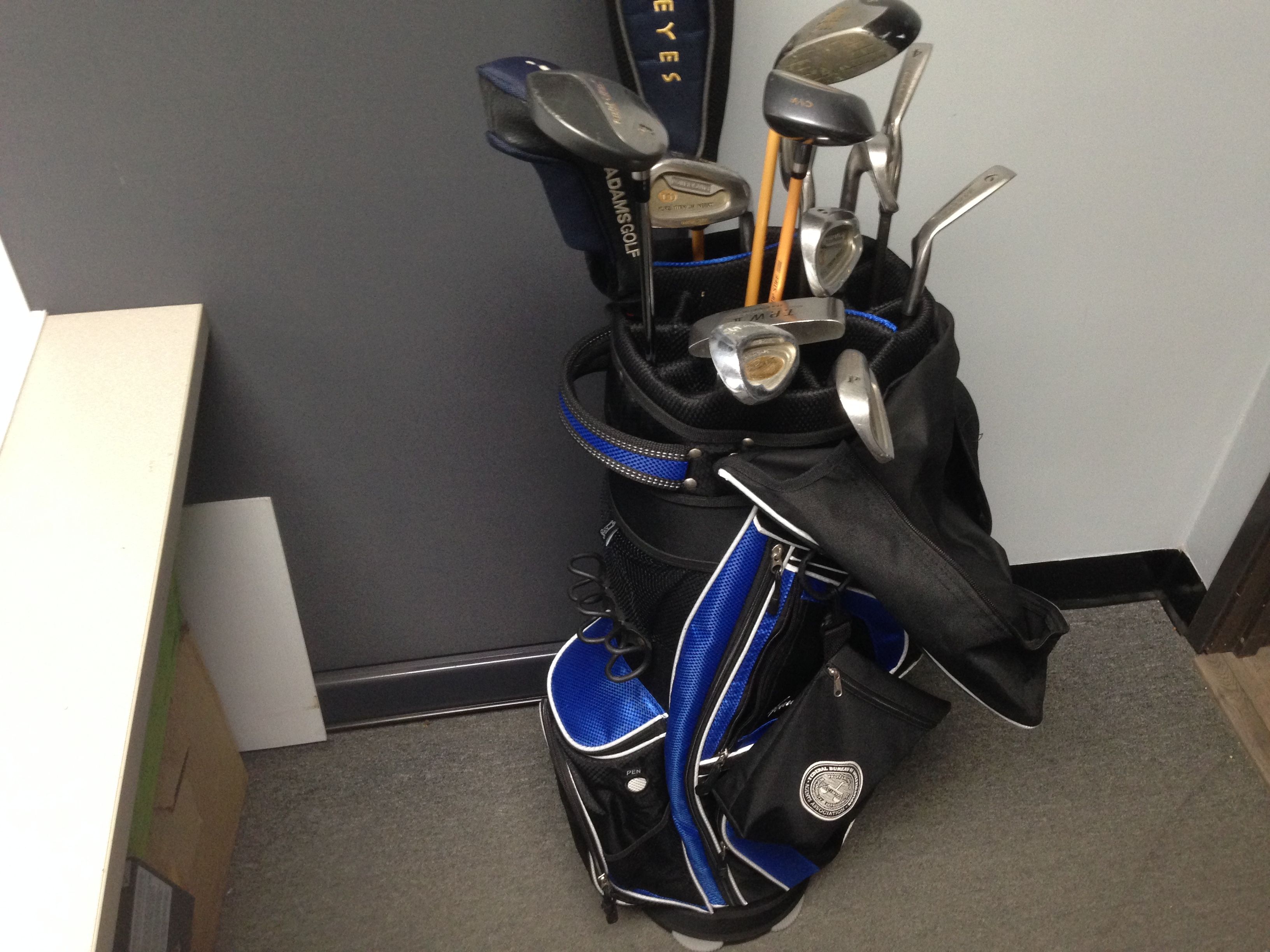 Golf Bag w/ Golf Clubs and Golf Balls