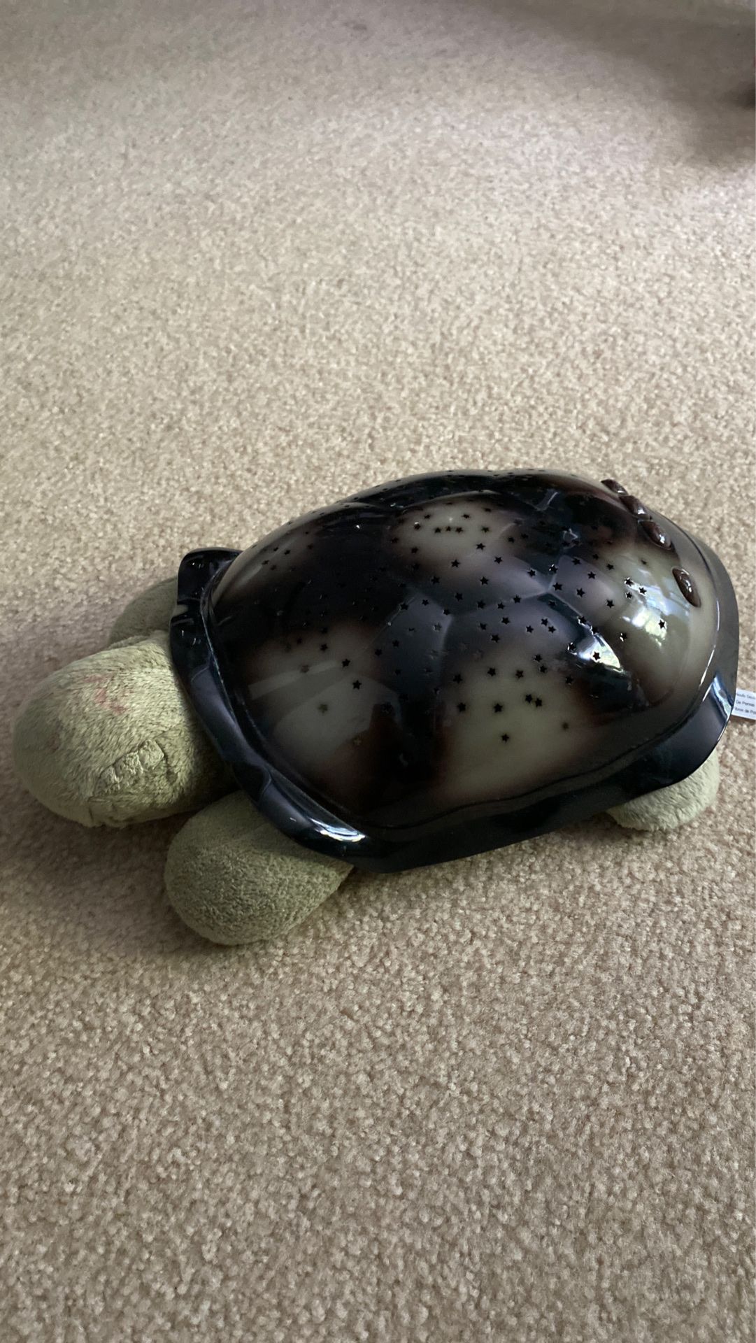 Turtle Night Light