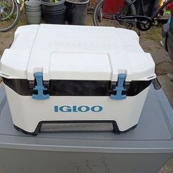 Igloo cooler
