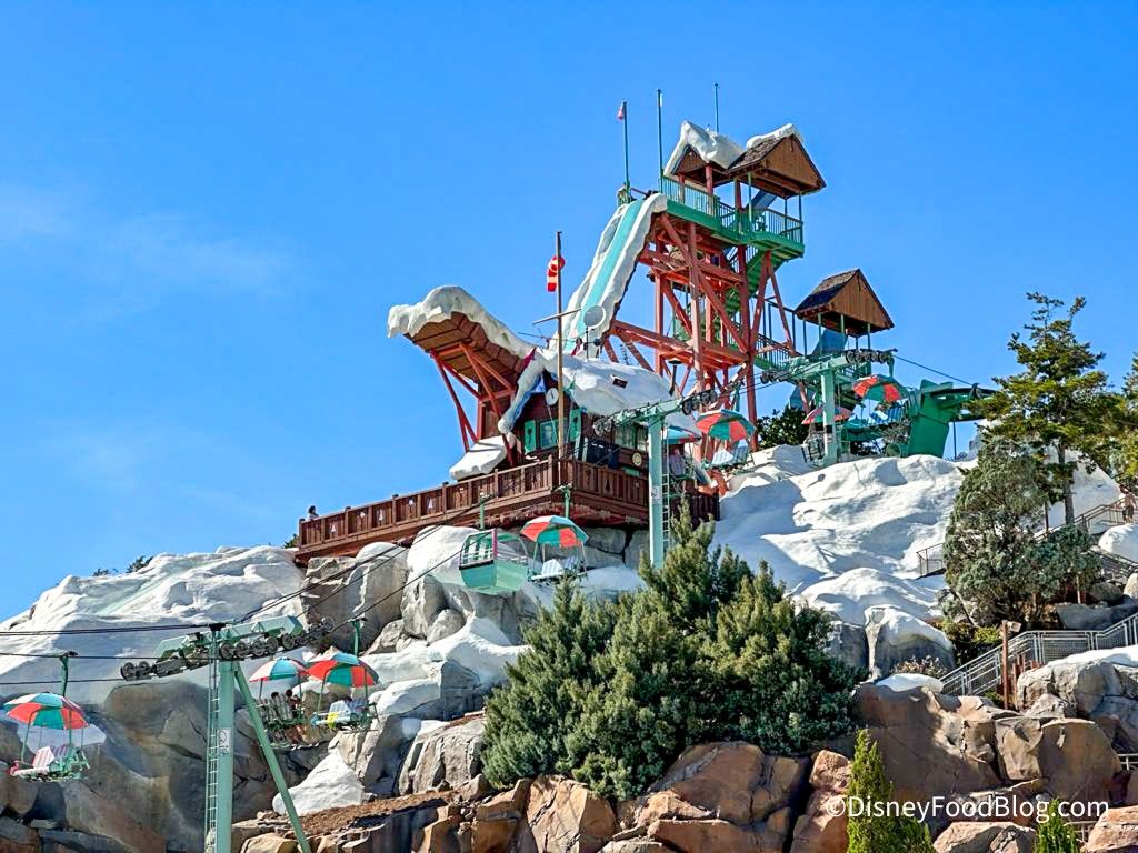 DISNEY WATER PARK TICKETS