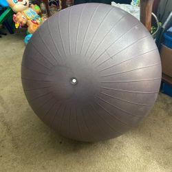 Exercise Ball. Price 5$.  Pick Up.  E.  67th. St.  Tacoma 
