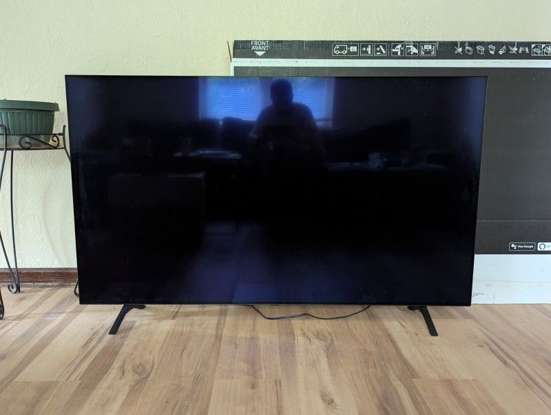 LG 65" OLED 4K TV