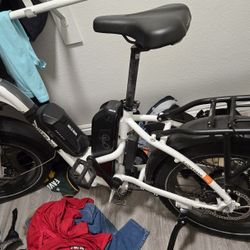 Rad Power BIKE 