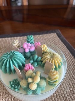 Cactus candles