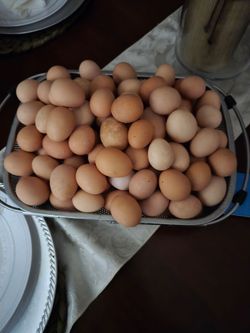 Fresh farm eggs
