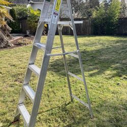 6ft Ladder 