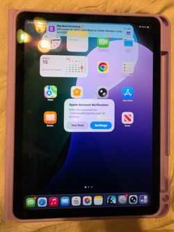 Please no low ballers I'm already going very low on this iPad see serial number in the pictures