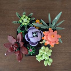 Legos Succulent