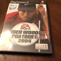 Tiger Woods PGA Tour 2004