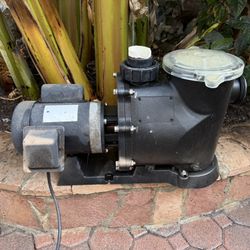 Waterway Pool Pump w/ Basket & Lid – Parts or Repair