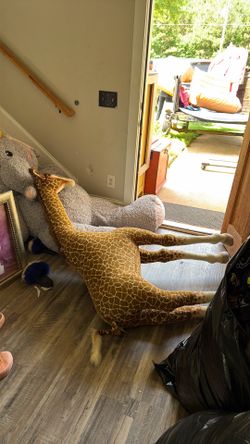 Elephant and giraffe