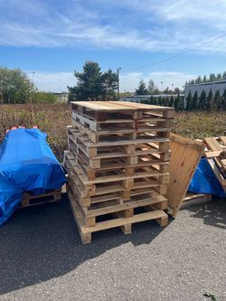 Used wood pallets