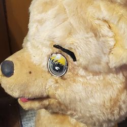 Complete Bear Suit From 80's I Think