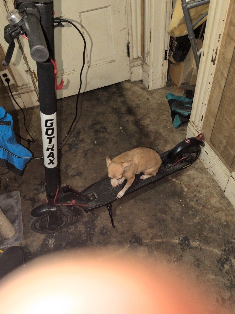 Electric Scooter β‘ π΄