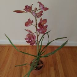 Decorative Flower Pot 