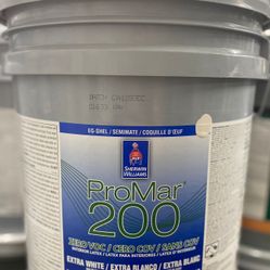 Paint & Primers - Pintura 