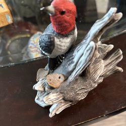 Wellington Colection