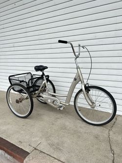 Trek Tricycle Bike