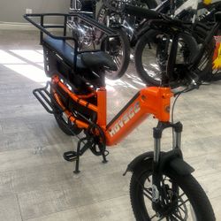 Brand New In Box Cargo Ebike 