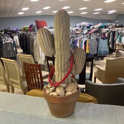 Cactus Decor