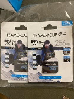 Micro Sd 256