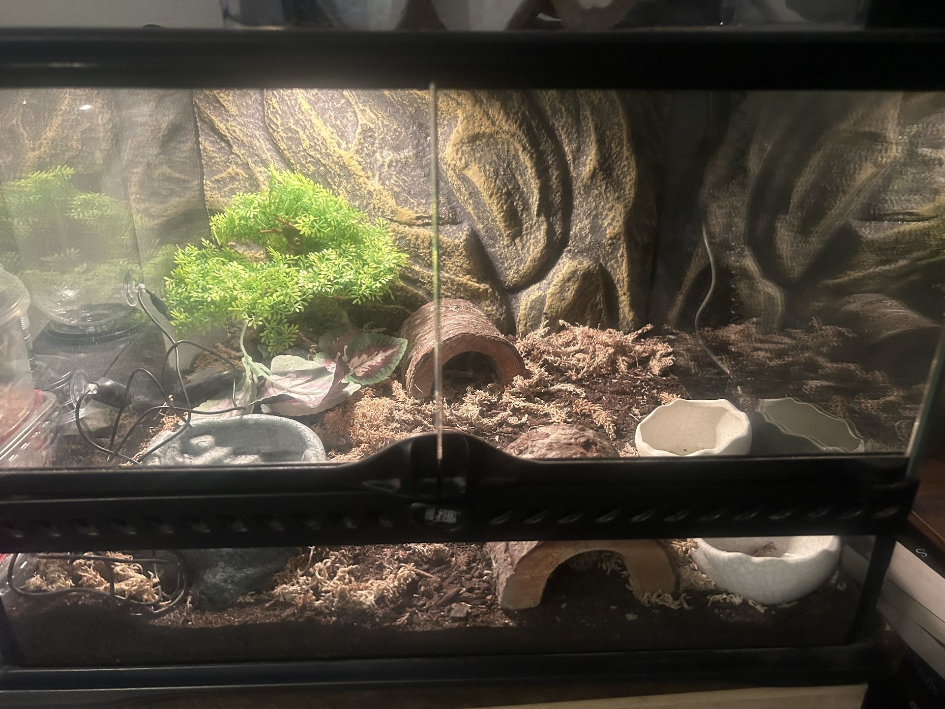 Tank plus more just Ask For More Info