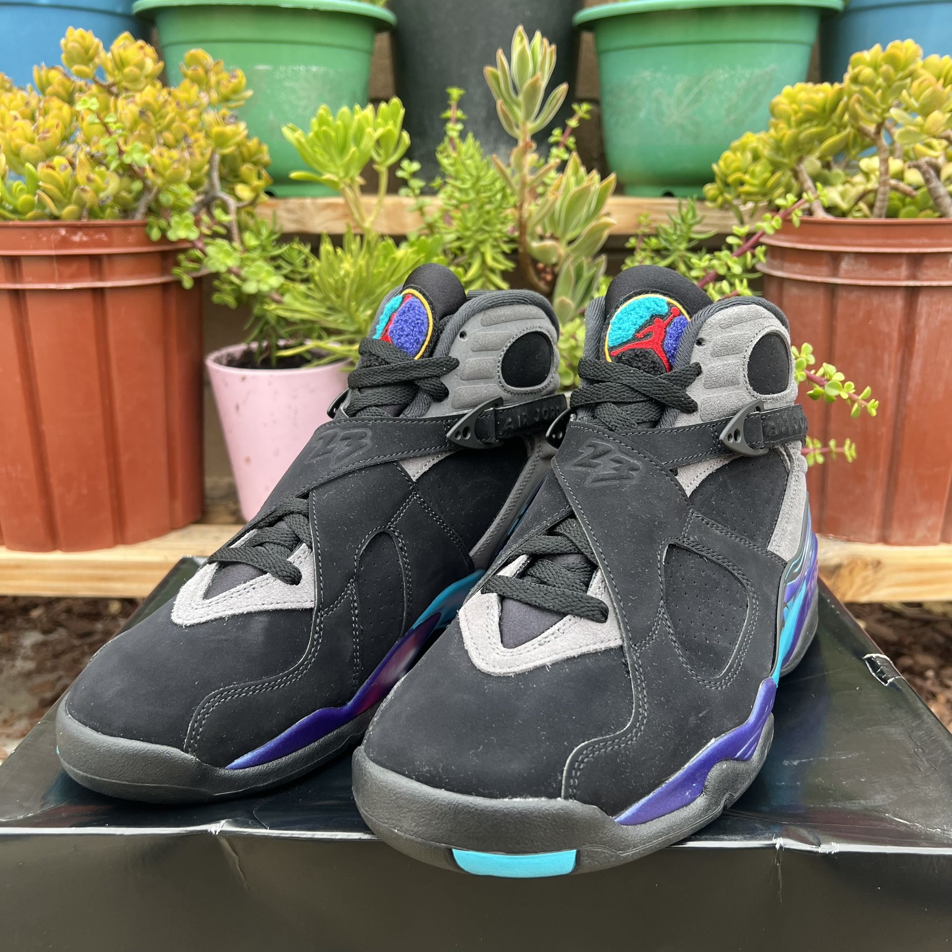 Jordan Shoes Aquas 8s (2025) Release