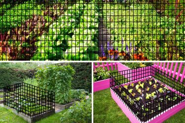 24inch x 50ft Black Vinyl Coated Hardware Cloth 2 X 3 16Ga Welded Wire Mesh fence, PVC Coated Welded Chicken Wire Fencing, Metal Garden Plant Fencing,