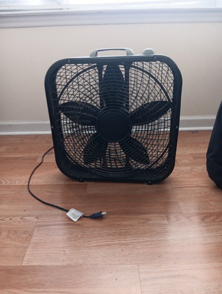 Fan