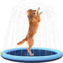Dog Splash Pad