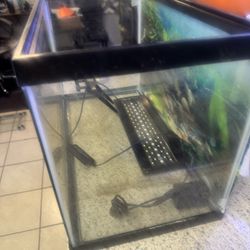 10 Gallon Fish Tank With Light