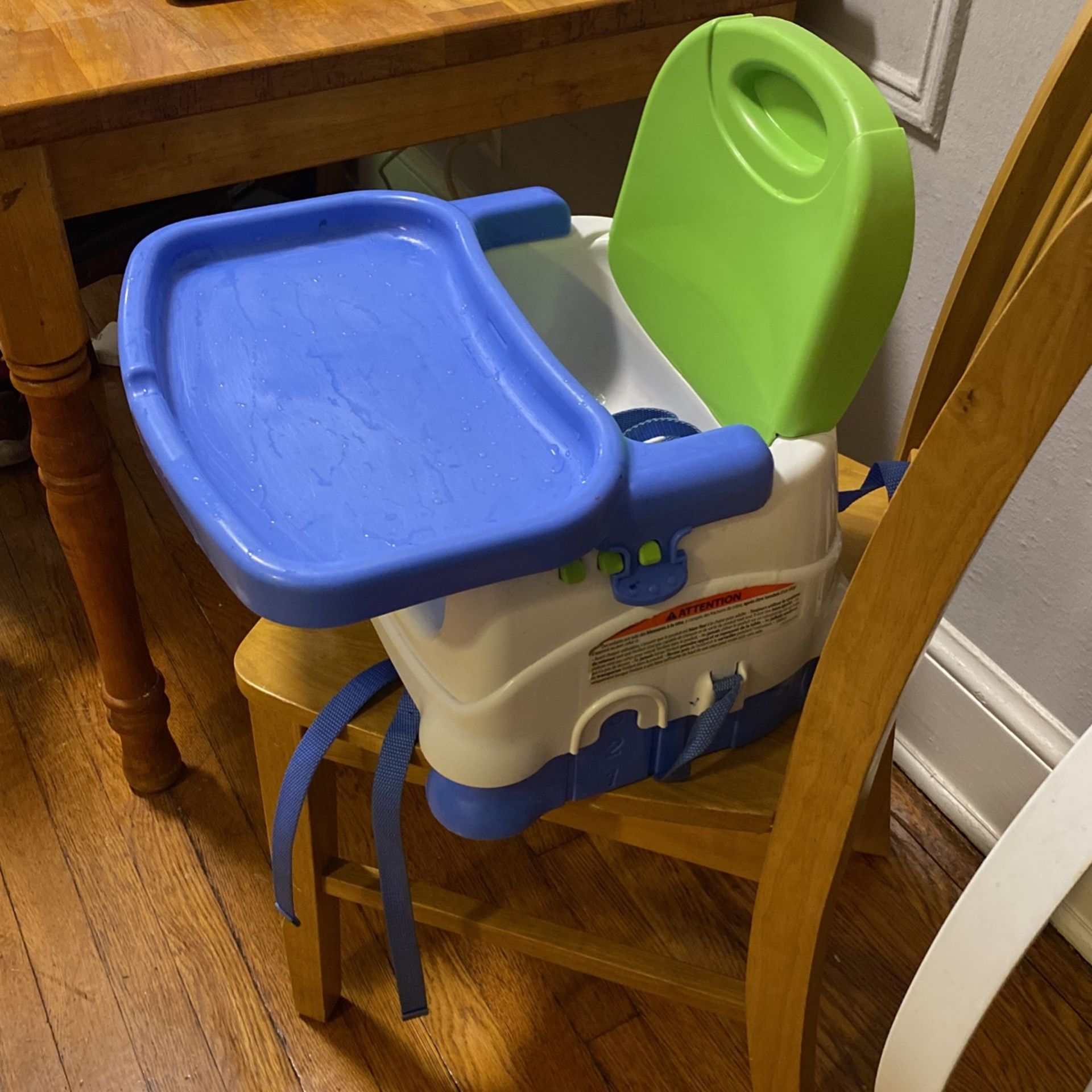 Fisher- Price Booster Seat