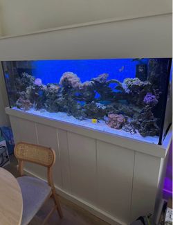 Aquarium tank saltwater 150 gallons