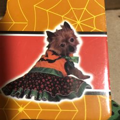 Halloween Puppy bee 🐝 n Pumpkin Dresses set of 2 , each set $14 size xsmall or small or medium new never used