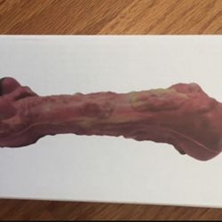 Dog Toys for Aggressive Chewers