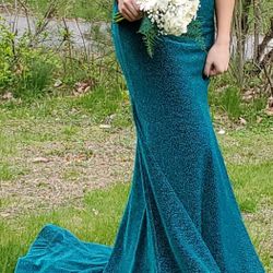 Sparkley green prom dress nothing wrong with it wore it once and paid $275. Minor alterations done.