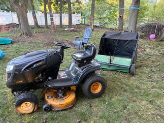 Lawn mower and leaf sweeper